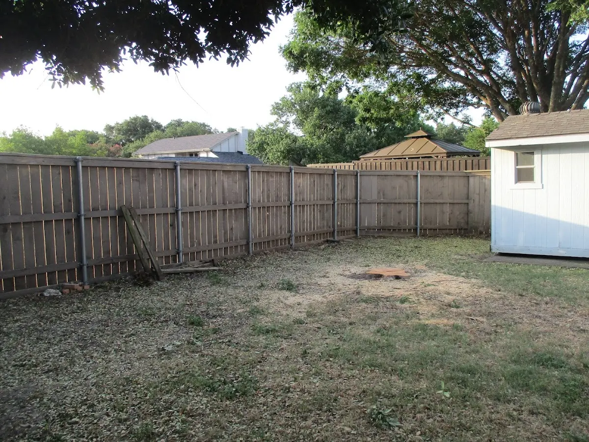 Cleared yard after professional tree removal in Townsville